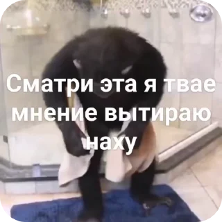 🌟