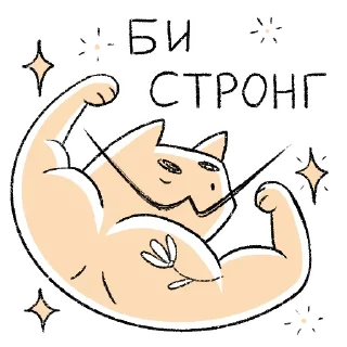 💪