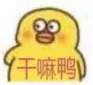 核心支付群友专享@zhifuzhifu