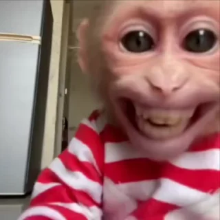 монки бро