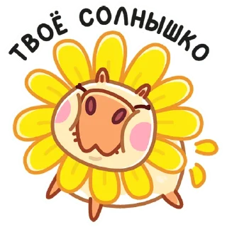 🌞