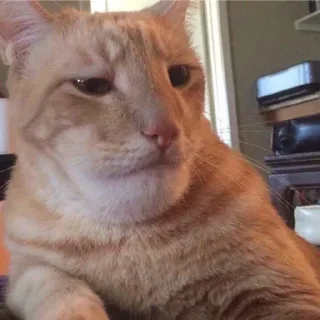 🙁