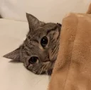 😴