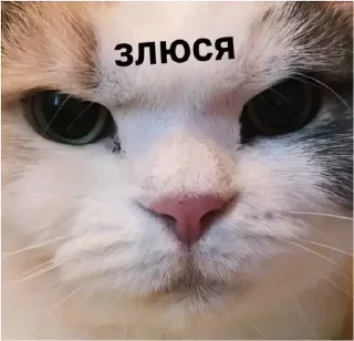 👿