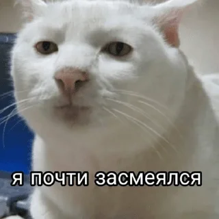 🤭