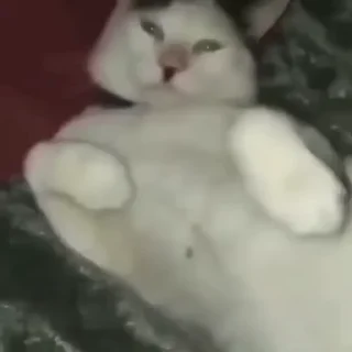 👋