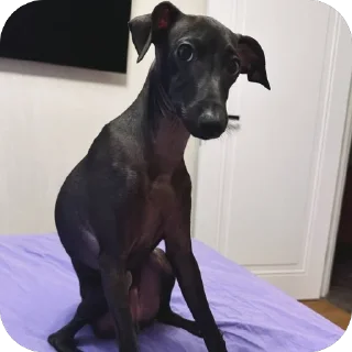 🤨