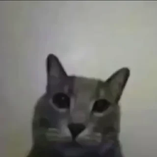😡