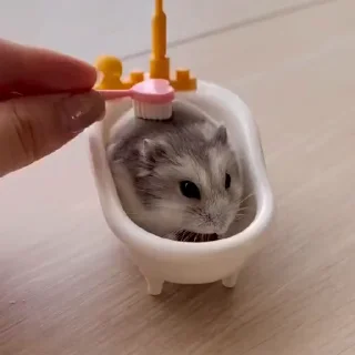 🐭