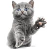 ulybnis @is_new_chat