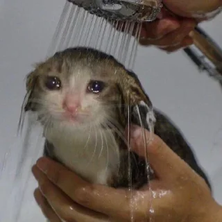 😢