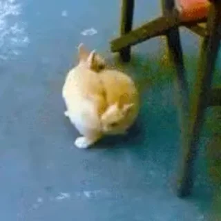 🤩