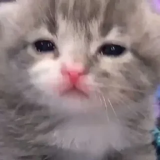 😢