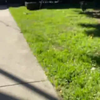 😆