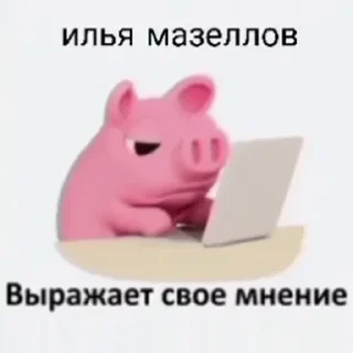 🐷