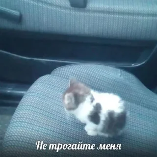 😒
