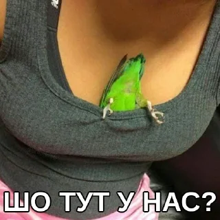 😏