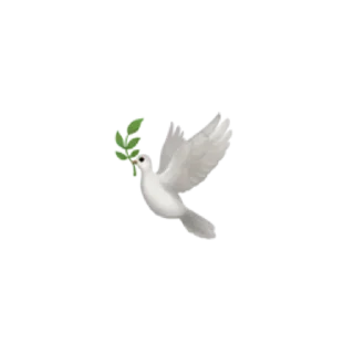 🕊