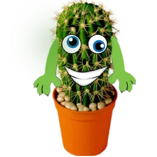 🌵