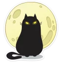 🌕