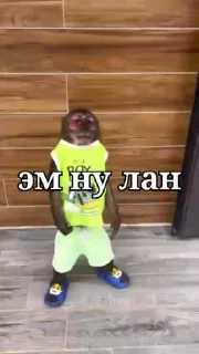 😎