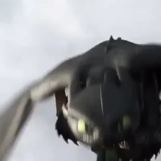 🎶
