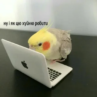 🤩