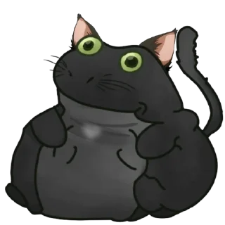 🐈‍⬛