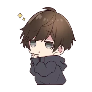 ✨
