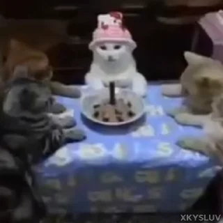 🎂