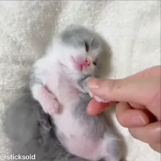 ❤️