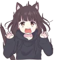 😾