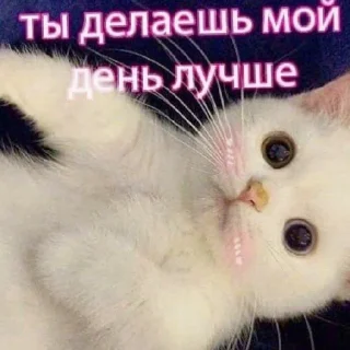 ❤️