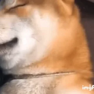 😉