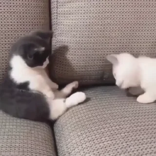 😣