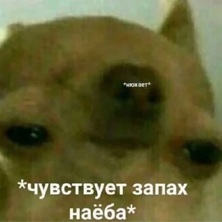 😑