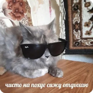 😎