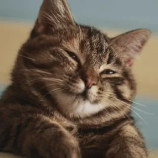 ☺️