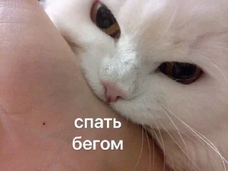 😴