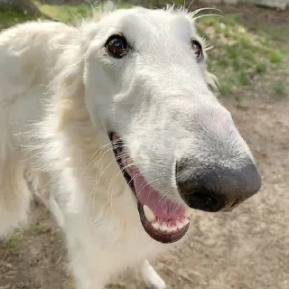 😛