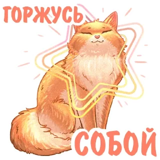 🌟