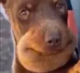 🤩