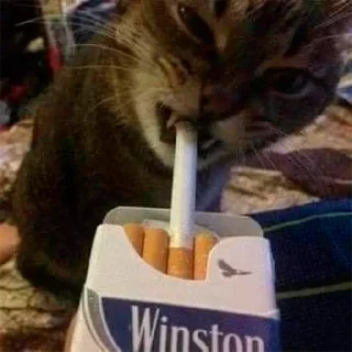 🚬
