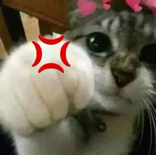 💢