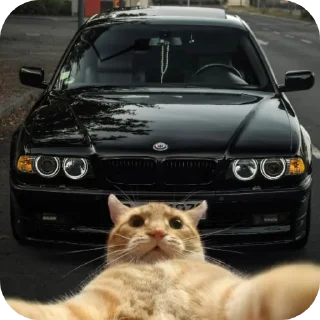 🚗