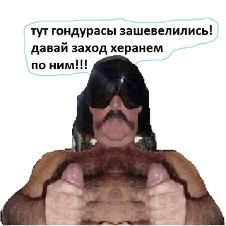 ✈