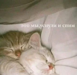 🥰
