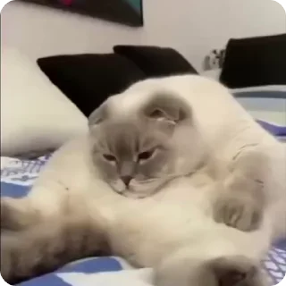😞