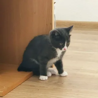 😒