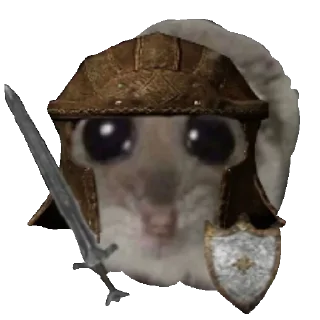 🛡